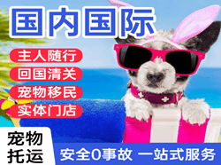 上海航空快递国际宠物托运 【国